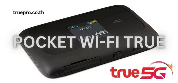 pocket wifi true