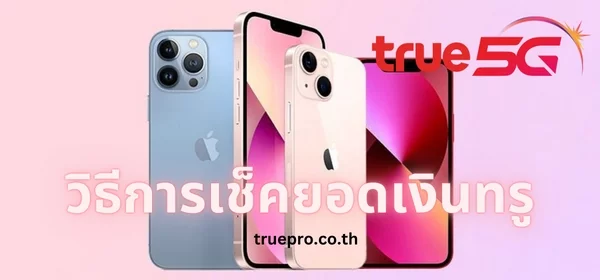 เช็คยอดเงินทรู