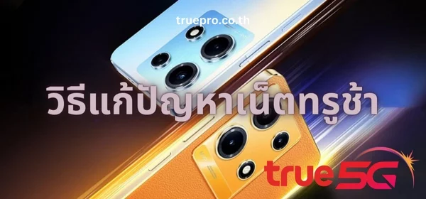 เน็ตทรูช้า