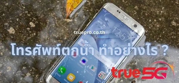 โทรศัพท์ตกน้ำ
